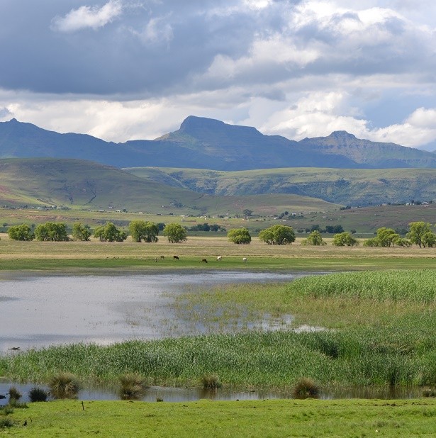 Landscape in the study area
